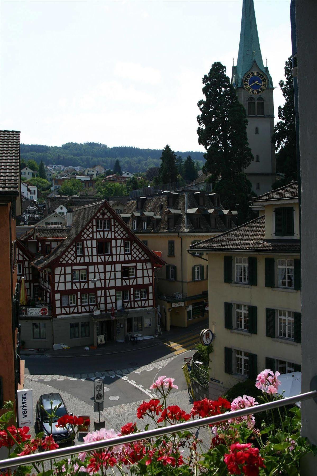 Romantik Hotel Schwan Horgen Exterior photo